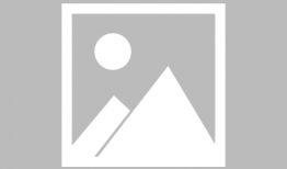 国际刑警电视剧,正义之战