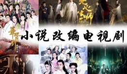 小说改编电视剧